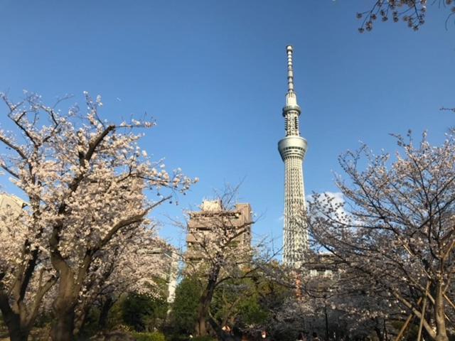 Sky Tree Inn Ⅱ（晴樹宿ⅱ） Tokyo Exterior photo